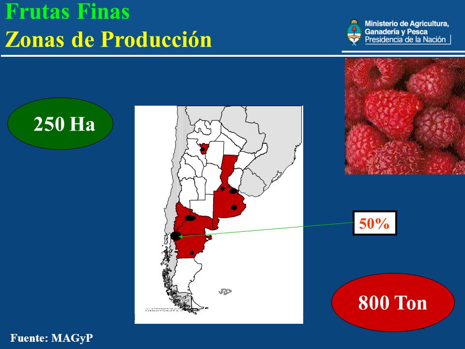 Frutas Finas Zonas de Producción 800 Ton 250 Ha 50% Fuente: MAGyP