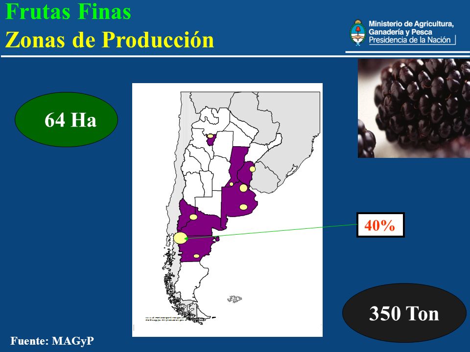 Frutas Finas Zonas de Producción 350 Ton 64 Ha 40% Fuente: MAGyP