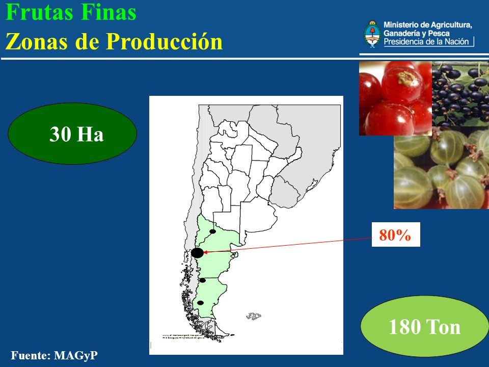 Frutas Finas Zonas de Producción 180 Ton 30 Ha 80%