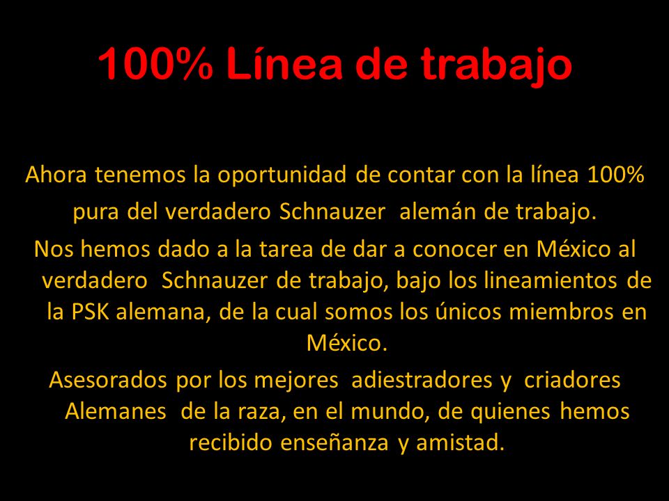 100% Línea de trabajo