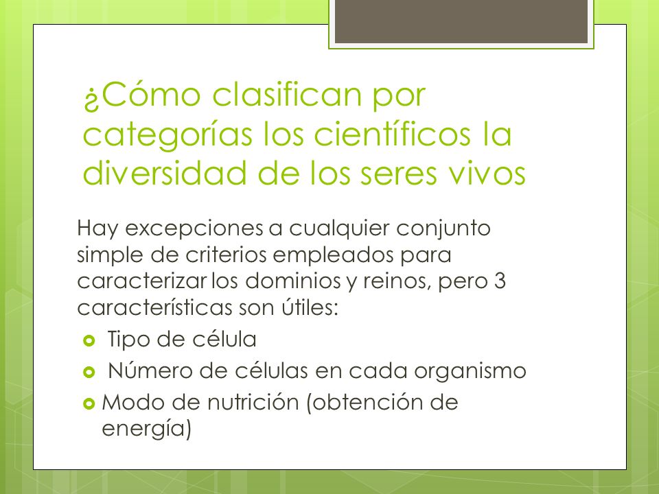 ¿Cómo clasifican por categorías los científicos la diversidad de los seres vivos