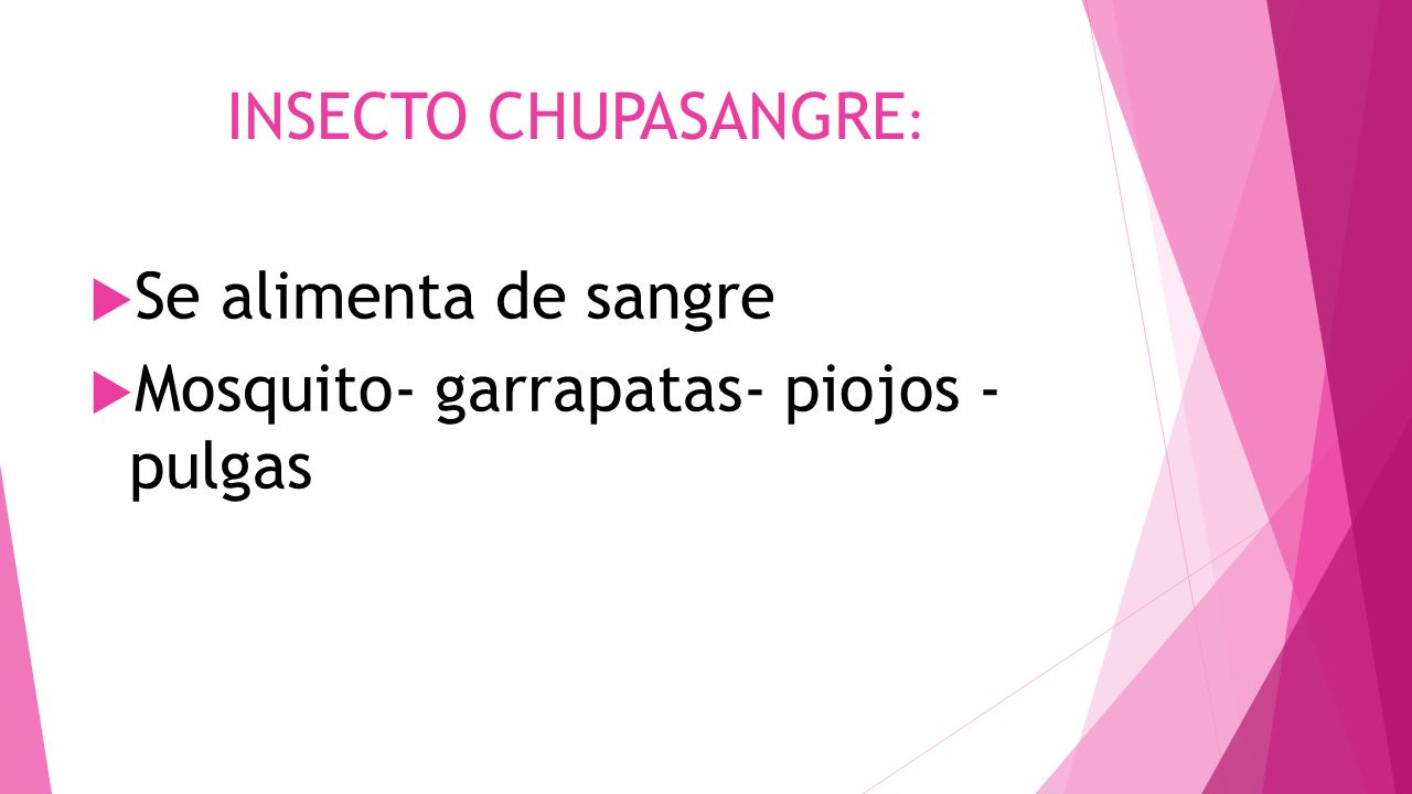 INSECTO CHUPASANGRE: Se alimenta de sangre Mosquito- garrapatas- piojos - pulgas