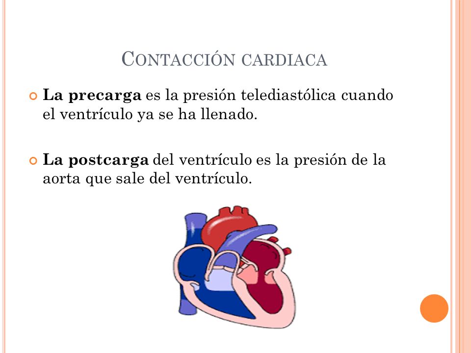 Contacción cardiaca La precarga es la presión telediastólica cuando el ventrículo ya se ha llenado.