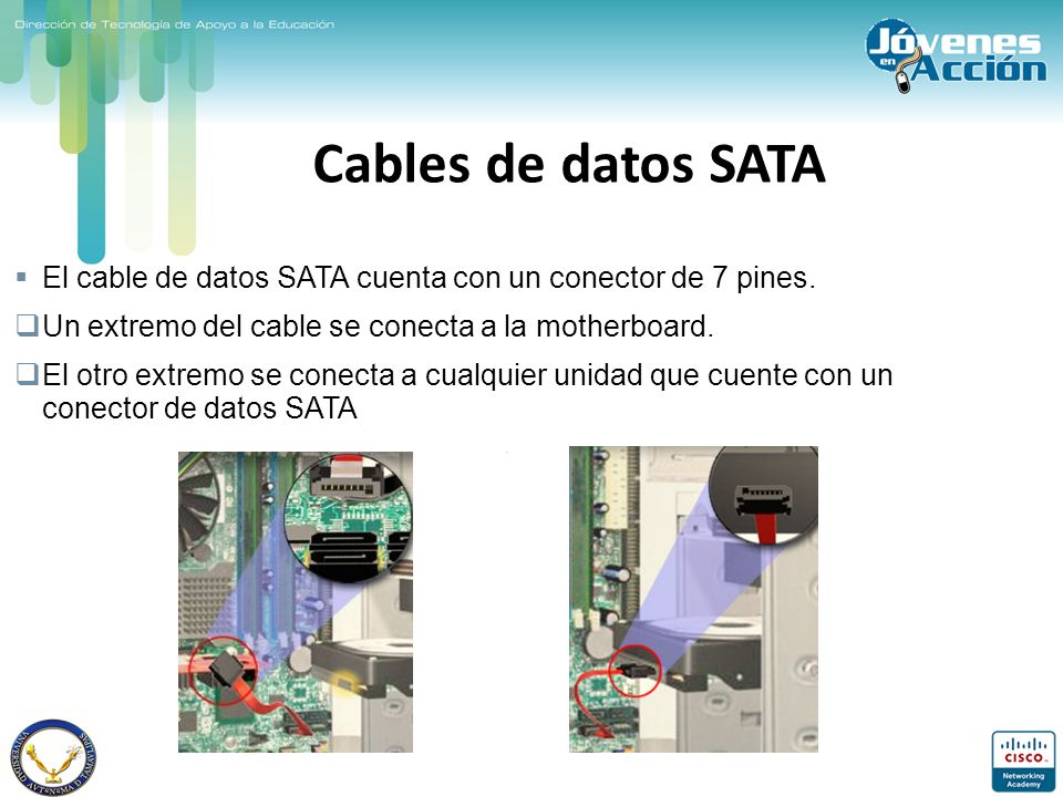 Cables de datos SATA El cable de datos SATA cuenta con un conector de 7 pines. Un extremo del cable se conecta a la motherboard.