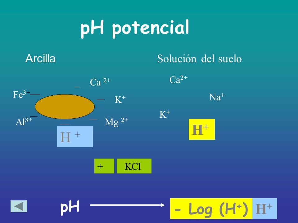 pH potencial H+ H + pH - Log (H+) H+ Arcilla Solución del suelo Ca2+