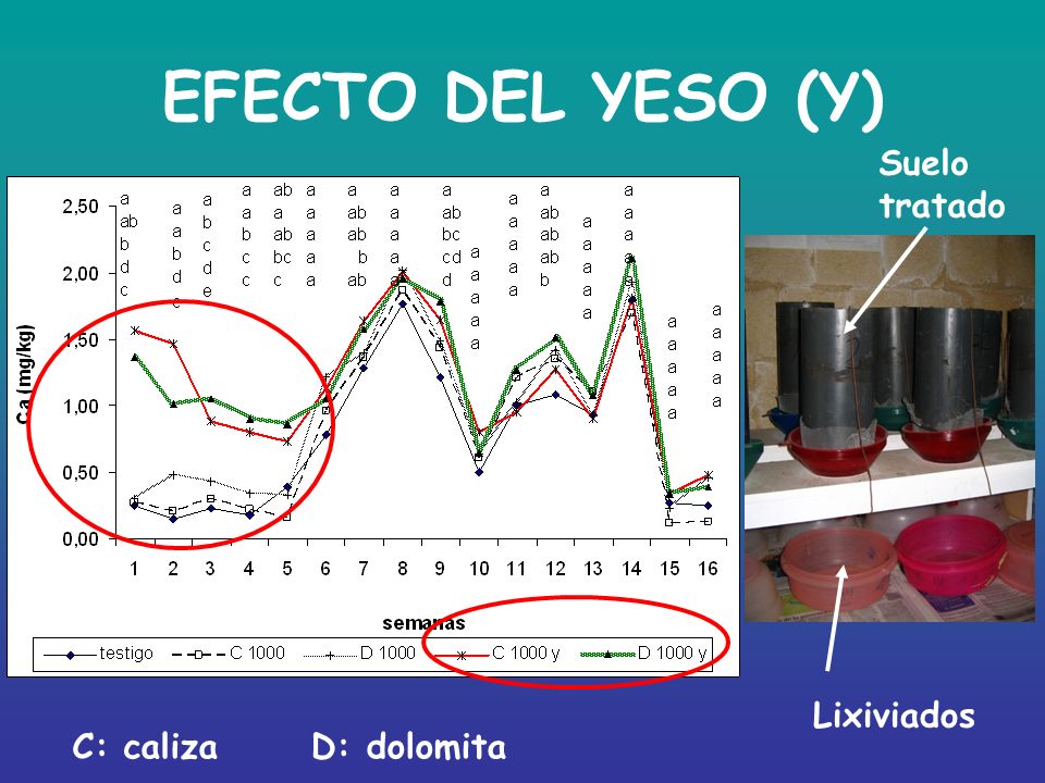 EFECTO DEL YESO (Y) Suelo tratado Lixiviados C: caliza D: dolomita