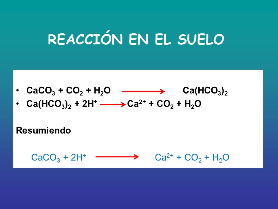 REACCIÓN EN EL SUELO CaCO3 + CO2 + H2O Ca(HCO3)2