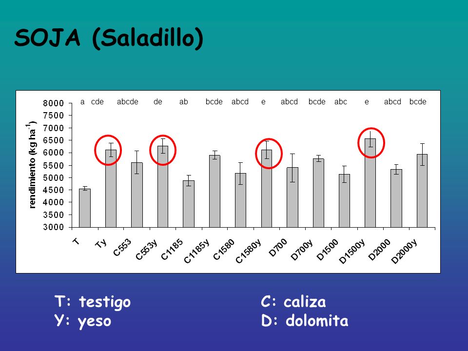SOJA (Saladillo) T: testigo Y: yeso C: caliza D: dolomita