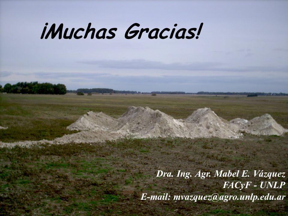 ¡Muchas Gracias! Dra. Ing. Agr. Mabel E. Vázquez FACyF - UNLP