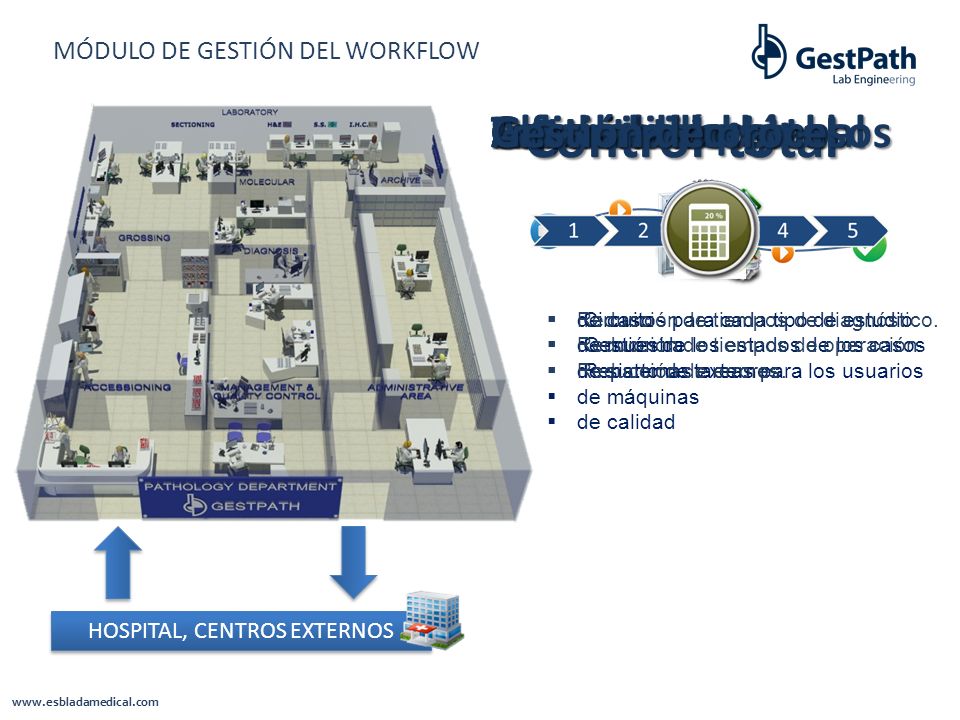 MÓDULO DE GESTIÓN DEL WORKFLOW