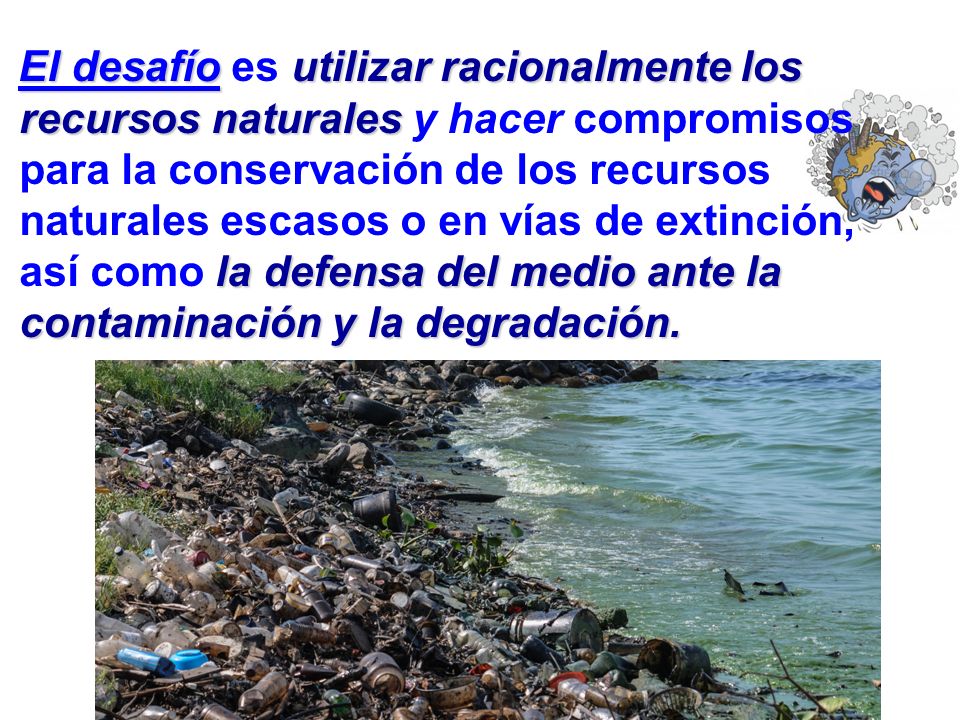 El desafío es utilizar racionalmente los recursos naturales y hacer compromisos para la conservación de los recursos naturales escasos o en vías de extinción, así como la defensa del medio ante la contaminación y la degradación.