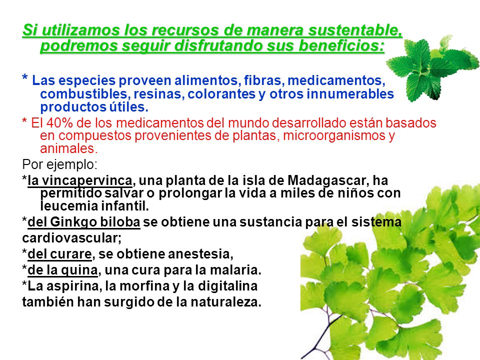 Si utilizamos los recursos de manera sustentable, podremos seguir disfrutando sus beneficios: