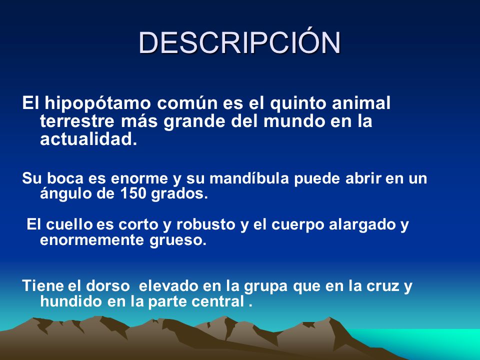 DESCRIPCIÓN El hipopótamo común es el quinto animal terrestre más grande del mundo en la actualidad.