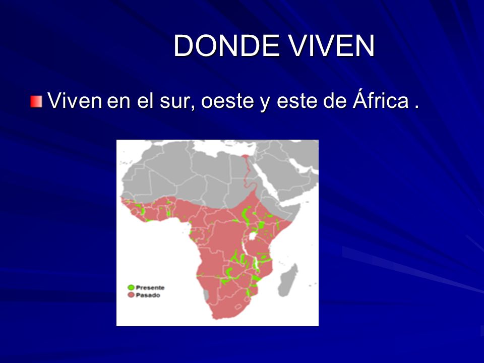 DONDE VIVEN Viven en el sur, oeste y este de África .