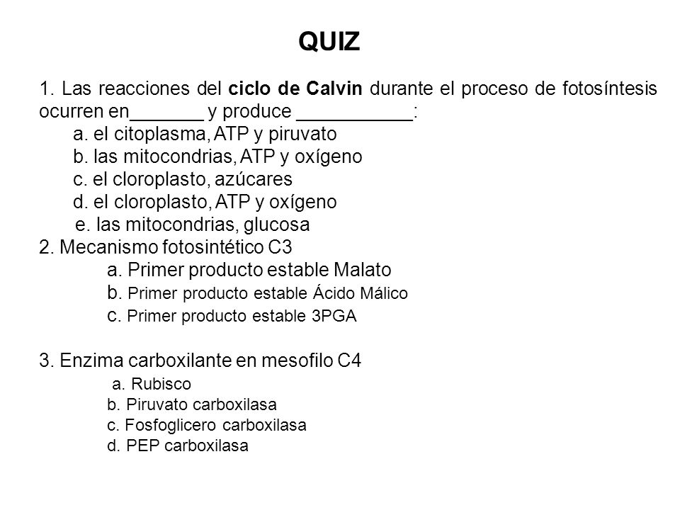 QUIZ 1. Las reacciones del ciclo de Calvin durante el proceso de fotosíntesis ocurren en_______ y produce ___________: