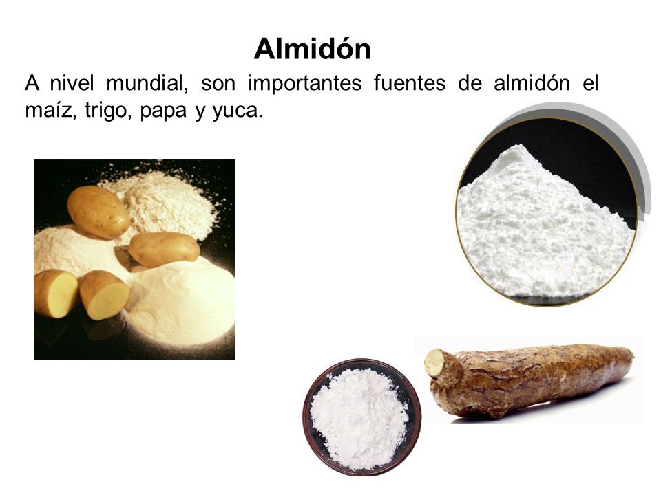 Almidón A nivel mundial, son importantes fuentes de almidón el maíz, trigo, papa y yuca.