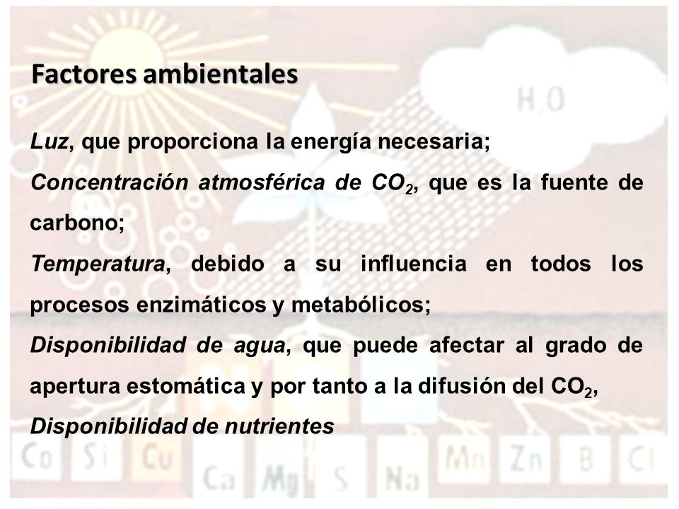 Factores ambientales Luz, que proporciona la energía necesaria;