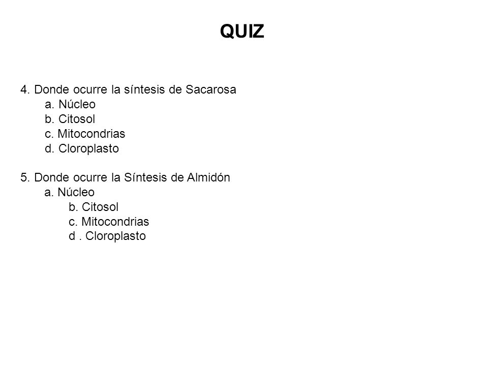 QUIZ 4. Donde ocurre la síntesis de Sacarosa a. Núcleo b. Citosol