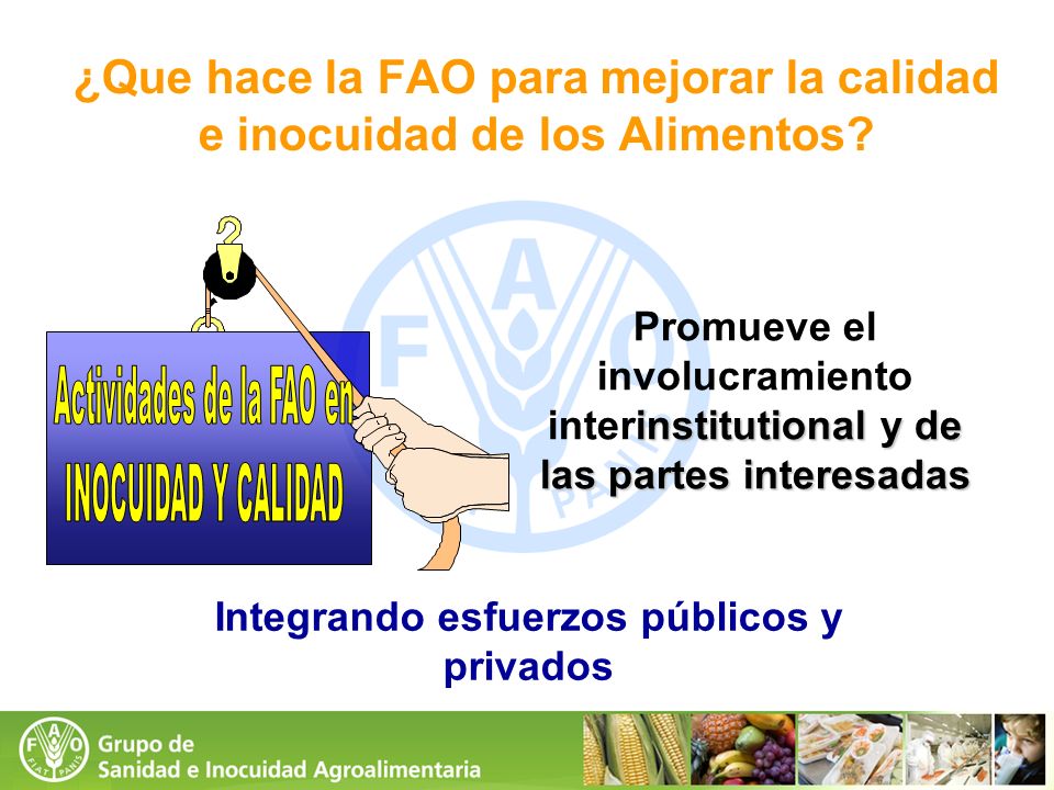¿Que hace la FAO para mejorar la calidad e inocuidad de los Alimentos