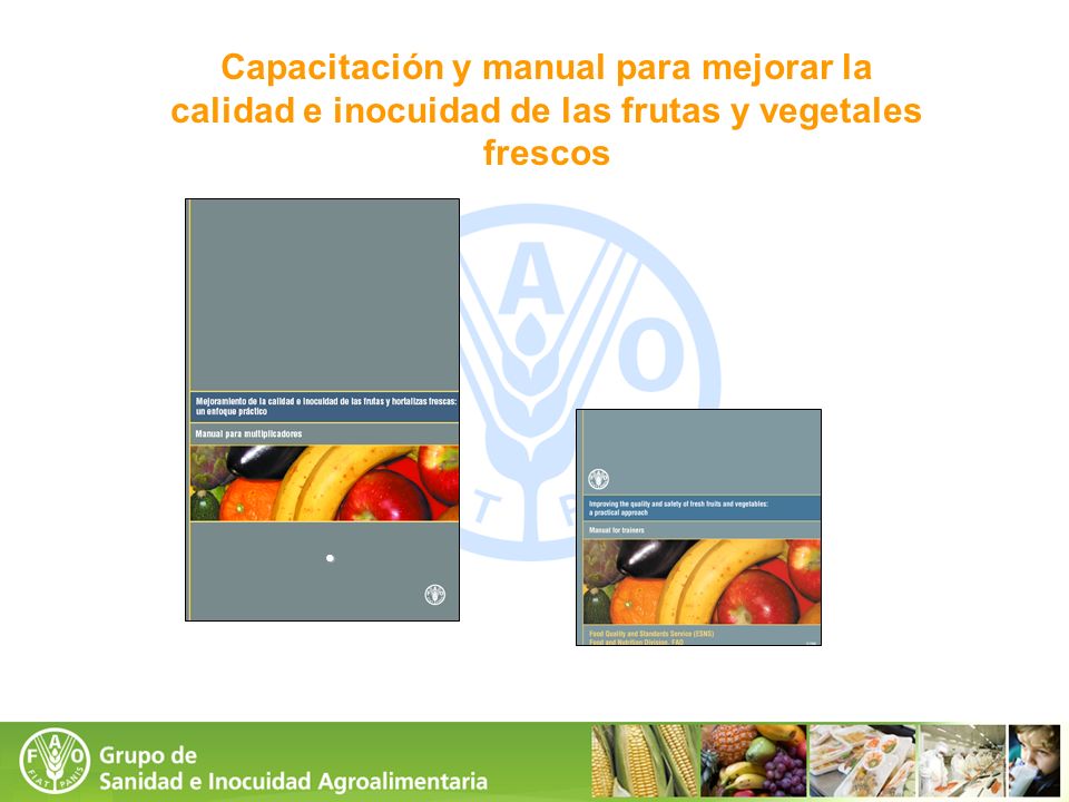 Capacitación y manual para mejorar la calidad e inocuidad de las frutas y vegetales frescos