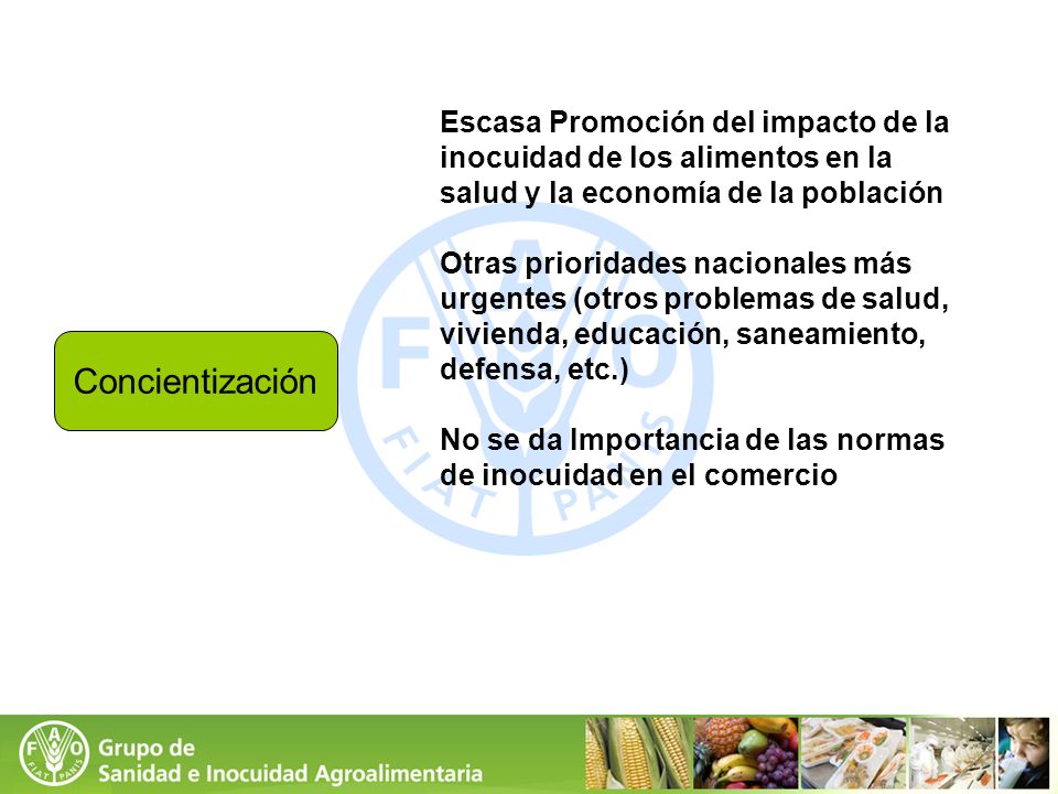 Escasa Promoción del impacto de la inocuidad de los alimentos en la salud y la economía de la población