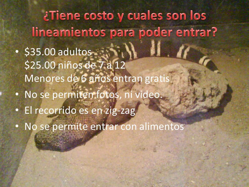 ¿Tiene costo y cuales son los lineamientos para poder entrar
