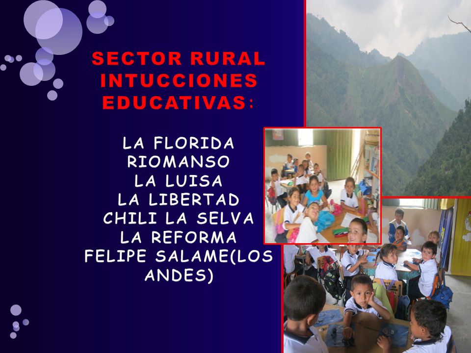 SECTOR RURAL INTUCCIONES EDUCATIVAS: LA FLORIDA RIOMANSO LA LUISA LA LIBERTAD CHILI LA SELVA LA REFORMA FELIPE SALAME(LOS ANDES)