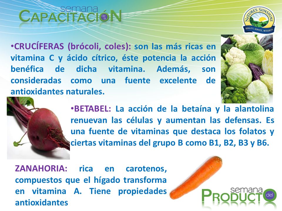 CRUCÍFERAS (brócoli, coles): son las más ricas en vitamina C y ácido cítrico, éste potencia la acción benéfica de dicha vitamina. Además, son consideradas como una fuente excelente de antioxidantes naturales.