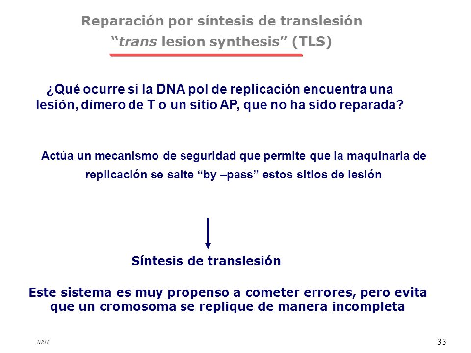 Reparación por síntesis de translesión trans lesion synthesis (TLS)