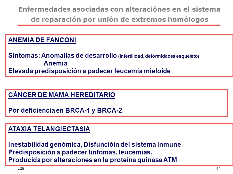 Enfermedades asociadas con alteraciónes en el sistema de reparación por unión de extremos homólogos