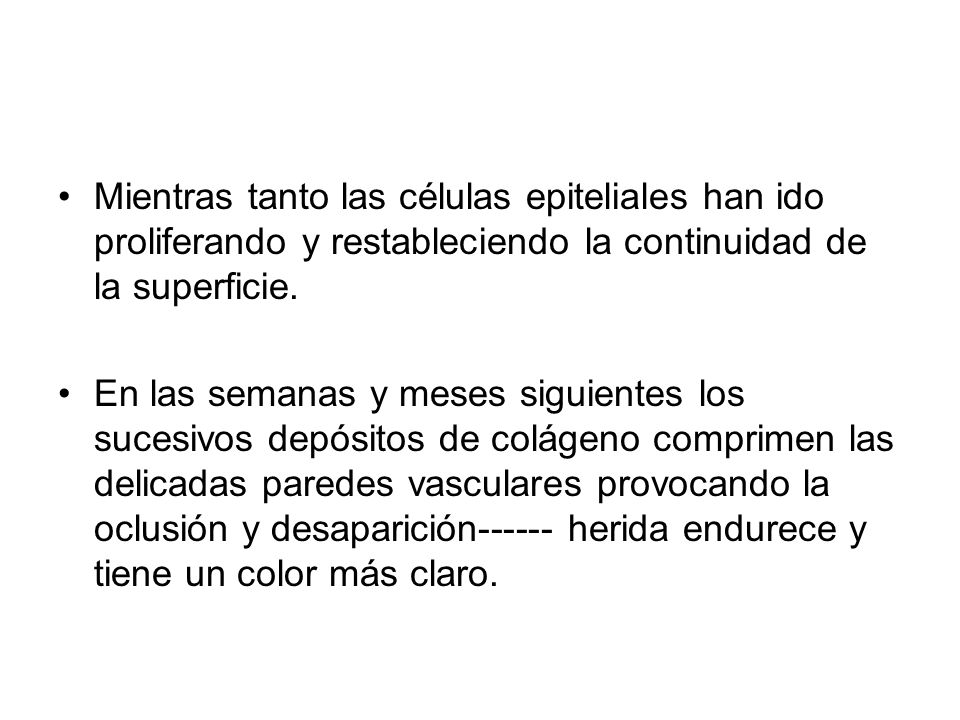 Mientras tanto las células epiteliales han ido proliferando y restableciendo la continuidad de la superficie.