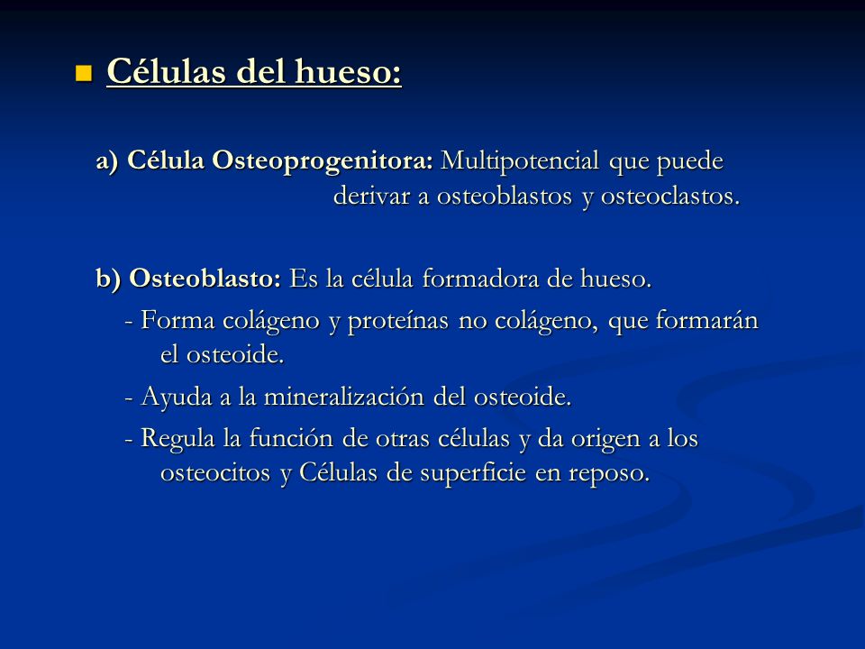Células del hueso: a) Célula Osteoprogenitora: Multipotencial que puede derivar a osteoblastos y osteoclastos.