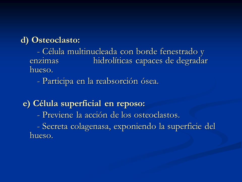 d) Osteoclasto: - Célula multinucleada con borde fenestrado y enzimas hidrolíticas capaces de degradar hueso.