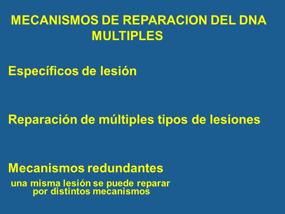 una misma lesión se puede reparar por distintos mecanismos