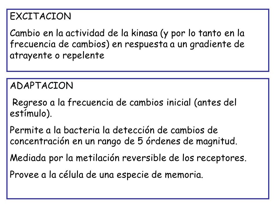 EXCITACION Cambio en la actividad de la kinasa (y por lo tanto en la frecuencia de cambios) en respuesta a un gradiente de atrayente o repelente.