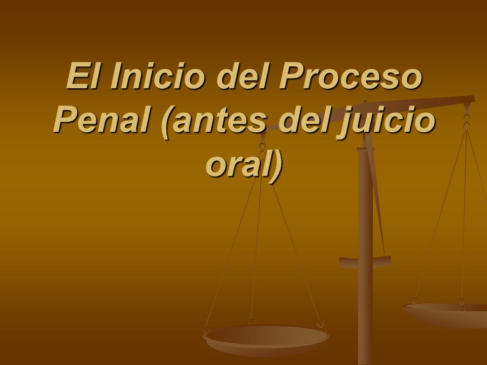 El Inicio del Proceso Penal (antes del juicio oral)