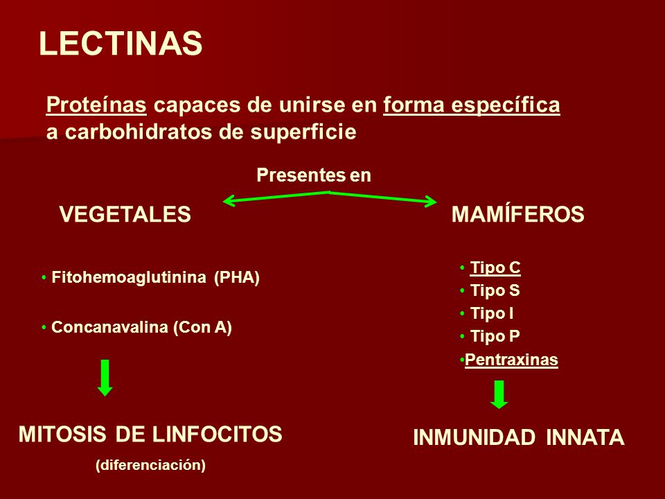 LECTINAS Proteínas capaces de unirse en forma específica a carbohidratos de superficie. Presentes en.