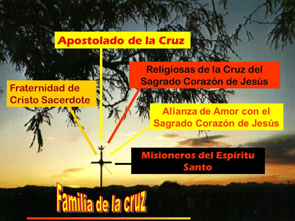 Alianza de Amor con el Sagrado Corazón de Jesús