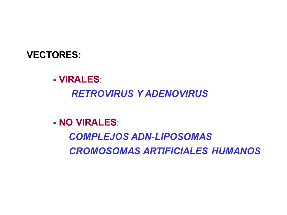 VECTORES: - VIRALES: RETROVIRUS Y ADENOVIRUS. - NO VIRALES: COMPLEJOS ADN-LIPOSOMAS.