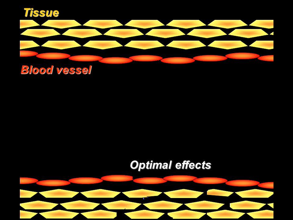 Tissue Blood vessel Drug Optimal effects Pathology Targeting vector