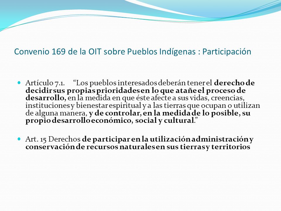 Convenio 169 de la OIT sobre Pueblos Indígenas : Participación