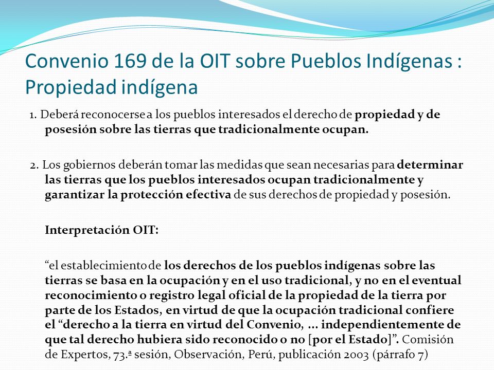 Convenio 169 de la OIT sobre Pueblos Indígenas : Propiedad indígena