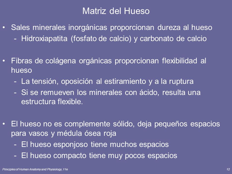 Matriz del Hueso Sales minerales inorgánicas proporcionan dureza al hueso. Hidroxiapatita (fosfato de calcio) y carbonato de calcio.