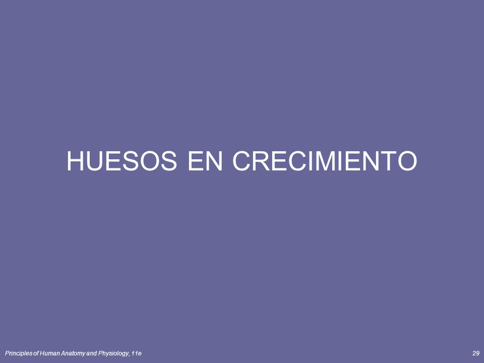 HUESOS EN CRECIMIENTO Principles of Human Anatomy and Physiology, 11e