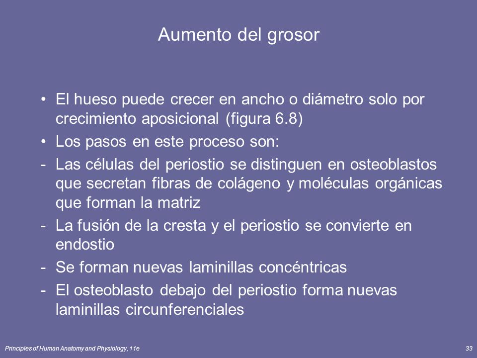Aumento del grosor El hueso puede crecer en ancho o diámetro solo por crecimiento aposicional (figura 6.8)