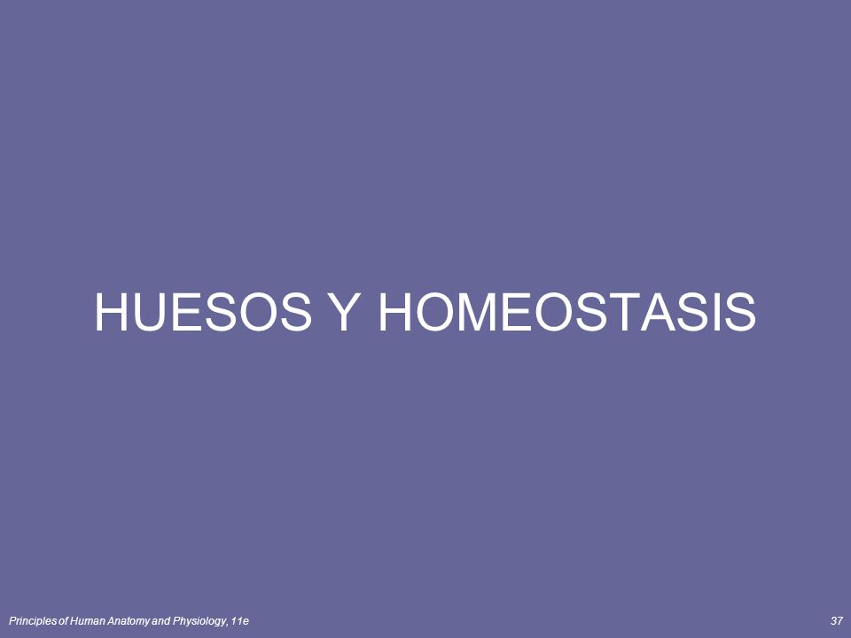 HUESOS Y HOMEOSTASIS Principles of Human Anatomy and Physiology, 11e