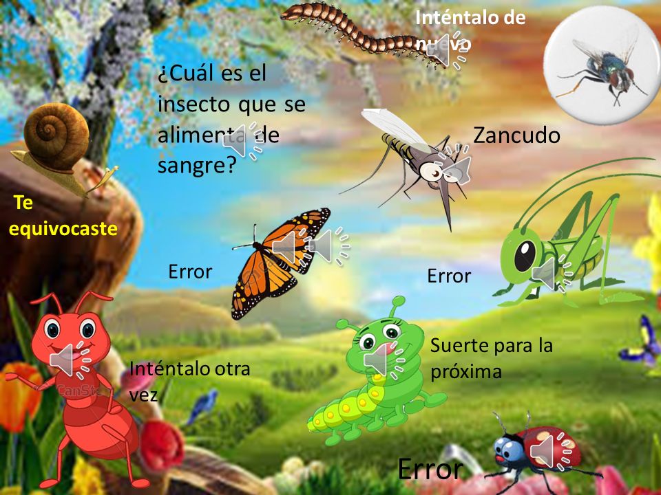 Error ¿Cuál es el insecto que se alimenta de sangre Zancudo