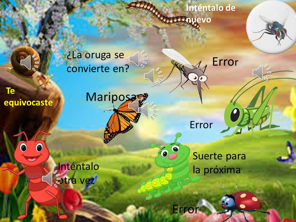 Error Mariposa Error ¿La oruga se convierte en Error