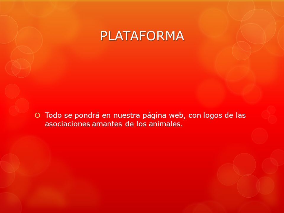 PLATAFORMA Todo se pondrá en nuestra página web, con logos de las asociaciones amantes de los animales.