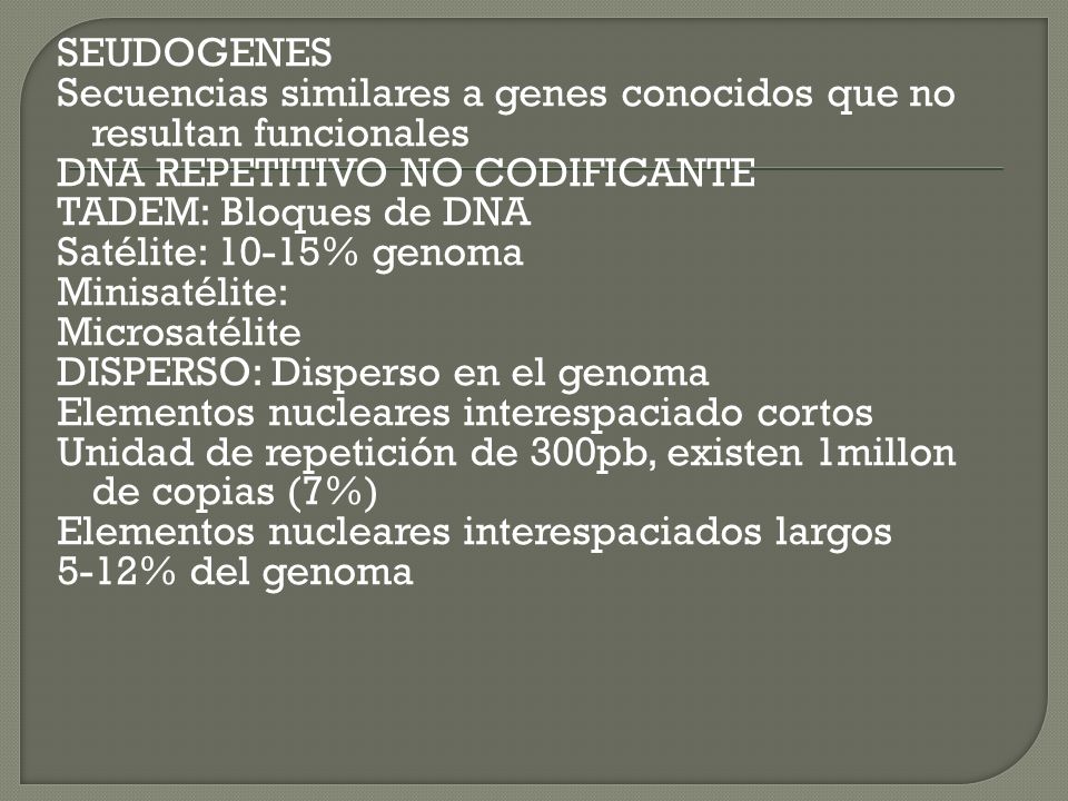 SEUDOGENES Secuencias similares a genes conocidos que no resultan funcionales. DNA REPETITIVO NO CODIFICANTE.
